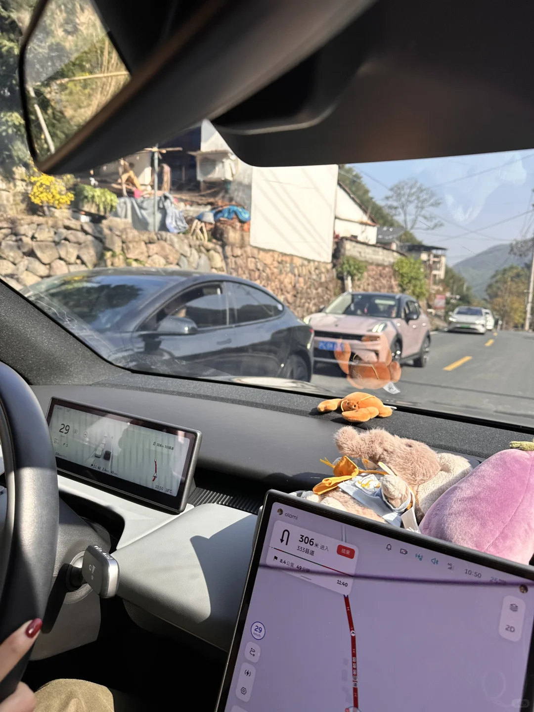 金钱松森林没来的别来了