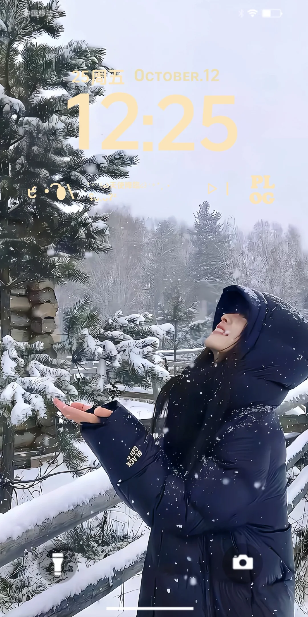 谁还没装这个壁纸啊！❄️