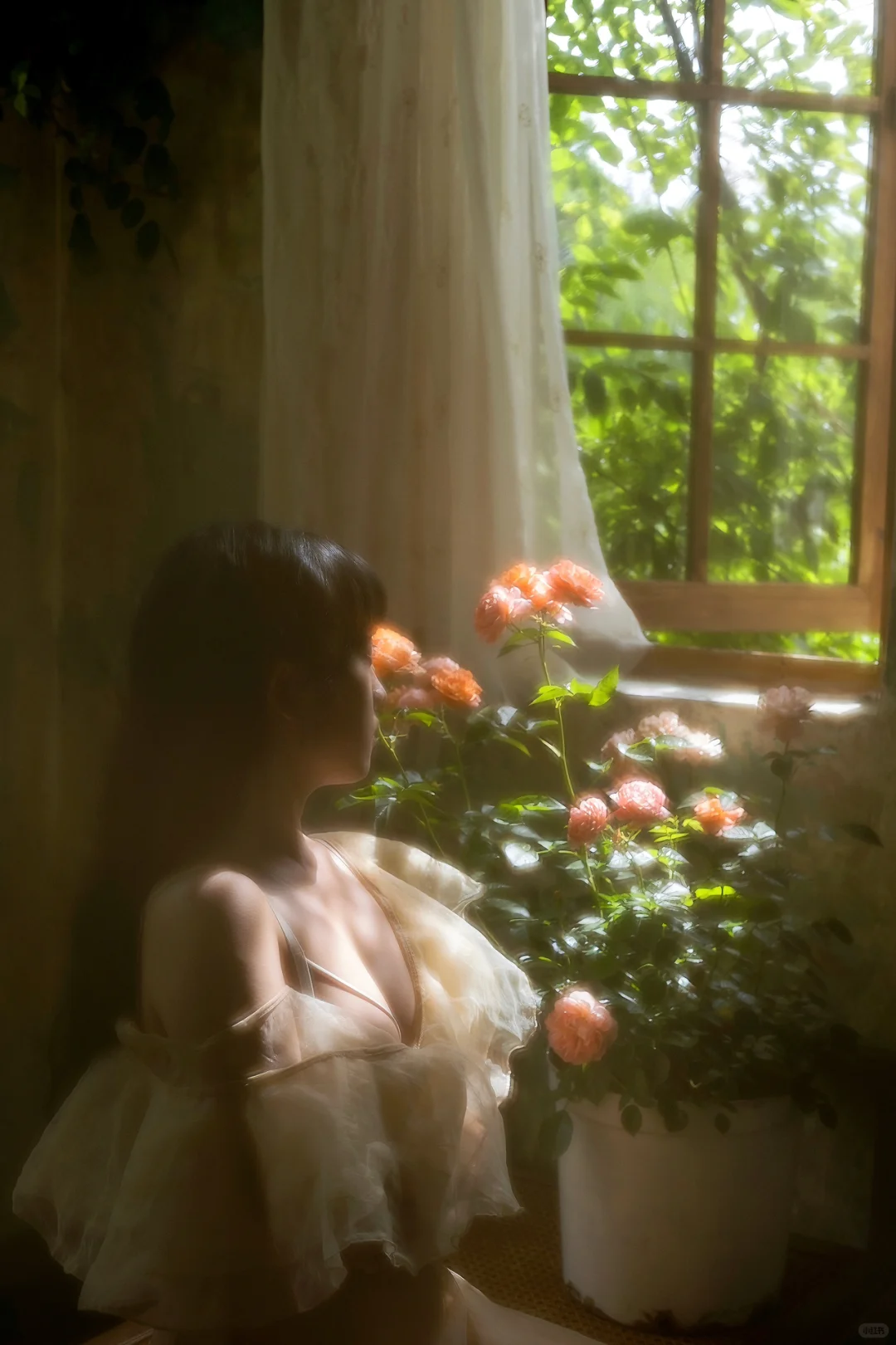 私房分享｜正常照片发布 据说点赞会变成枫叶