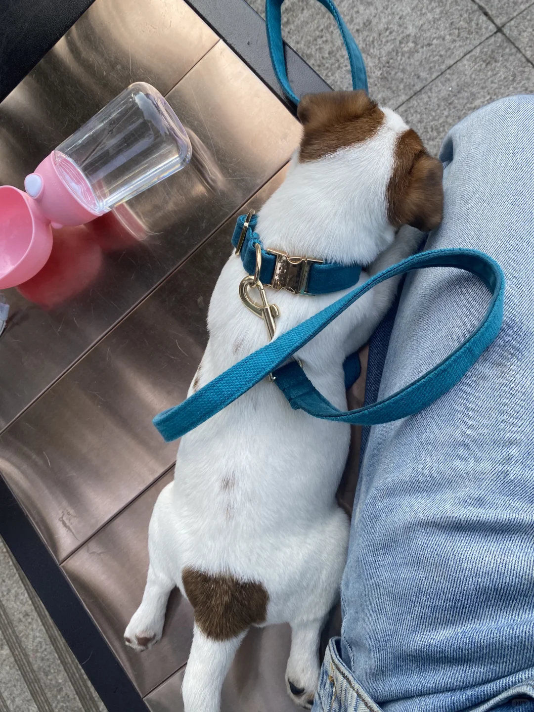 坏女孩的写真集