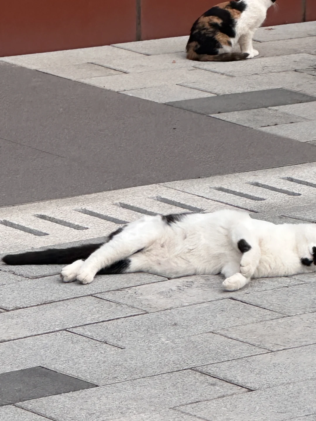 Esfj｜女大 一周plog碎碎念