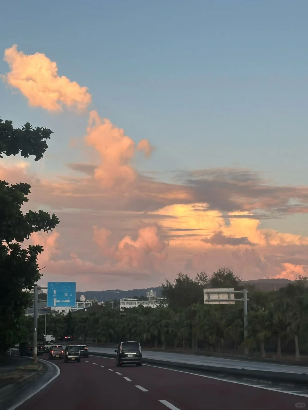 🏝️🐶🐱 不会游泳的两个人去了海边🌊