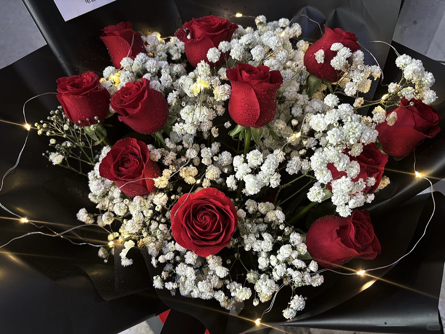 红玫瑰的娇艳被露水和星光粉饰