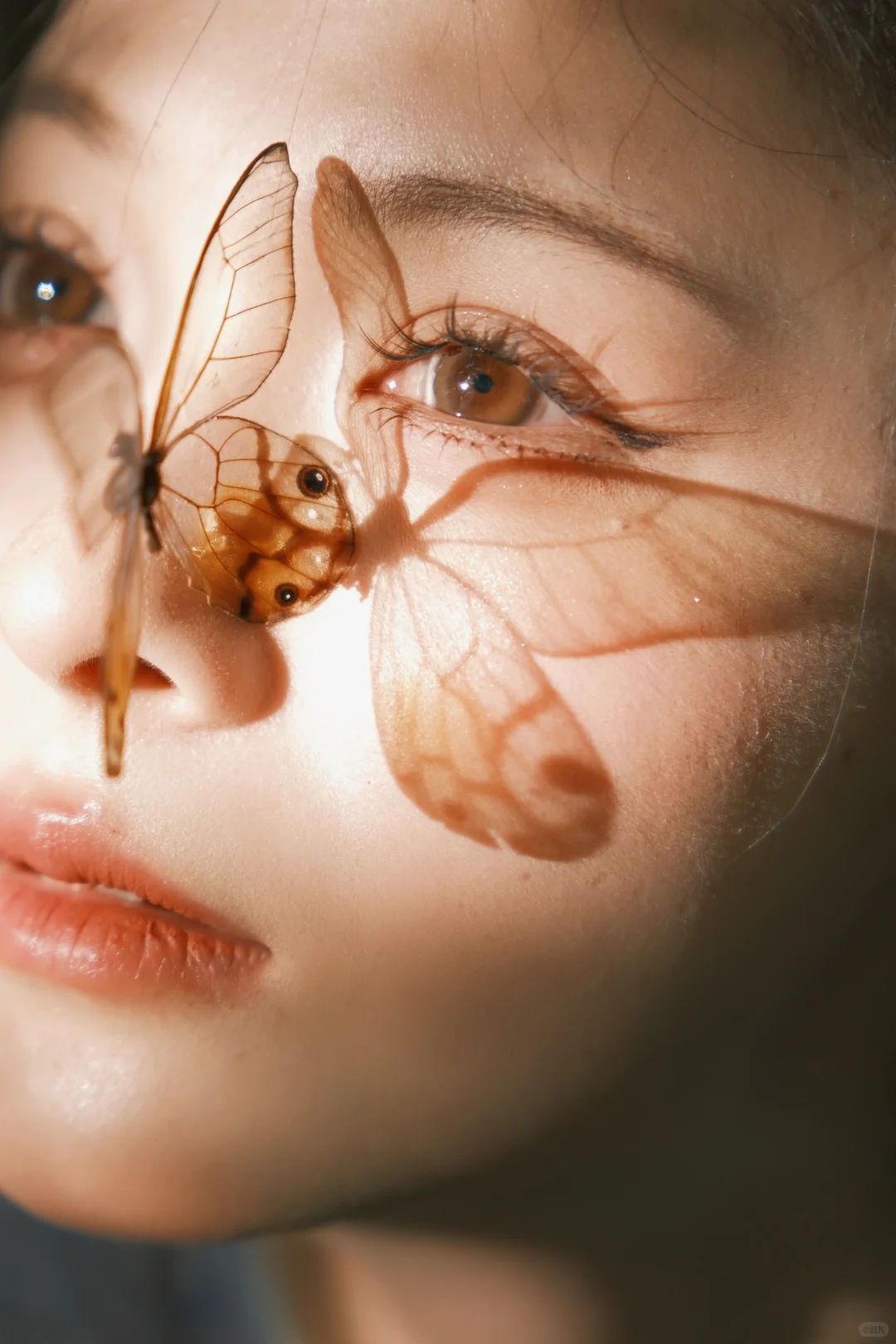 这算不算神级特写？