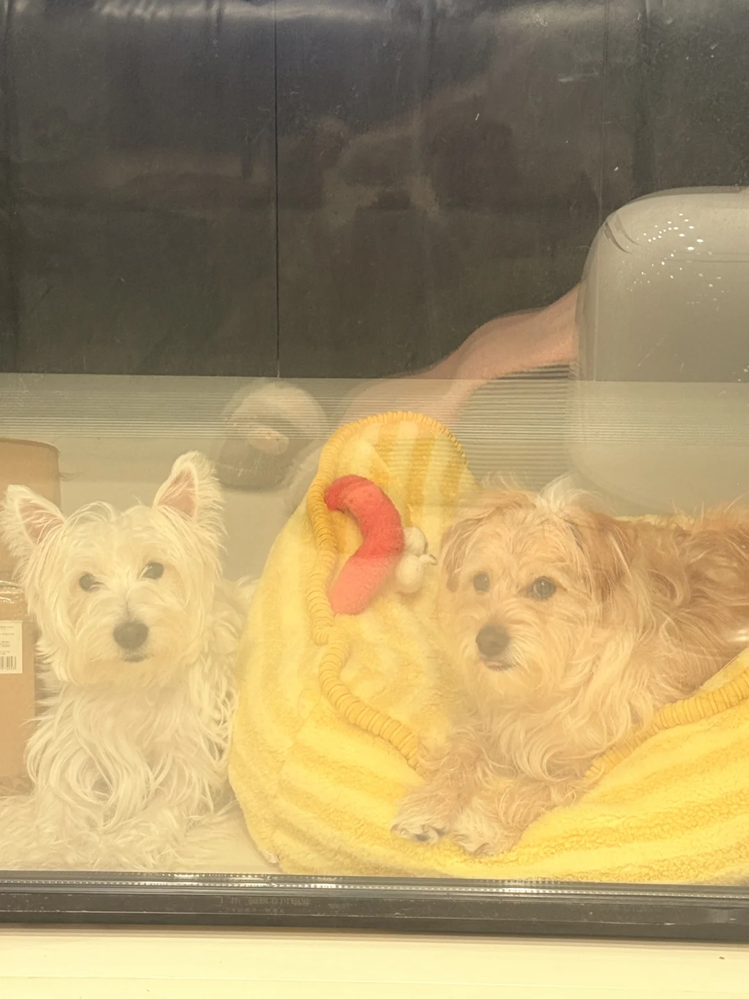 是在给我抛媚眼吗