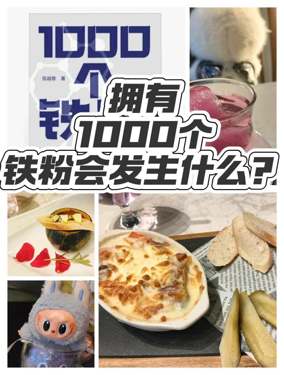 拥有1000个铁粉会发生什么？