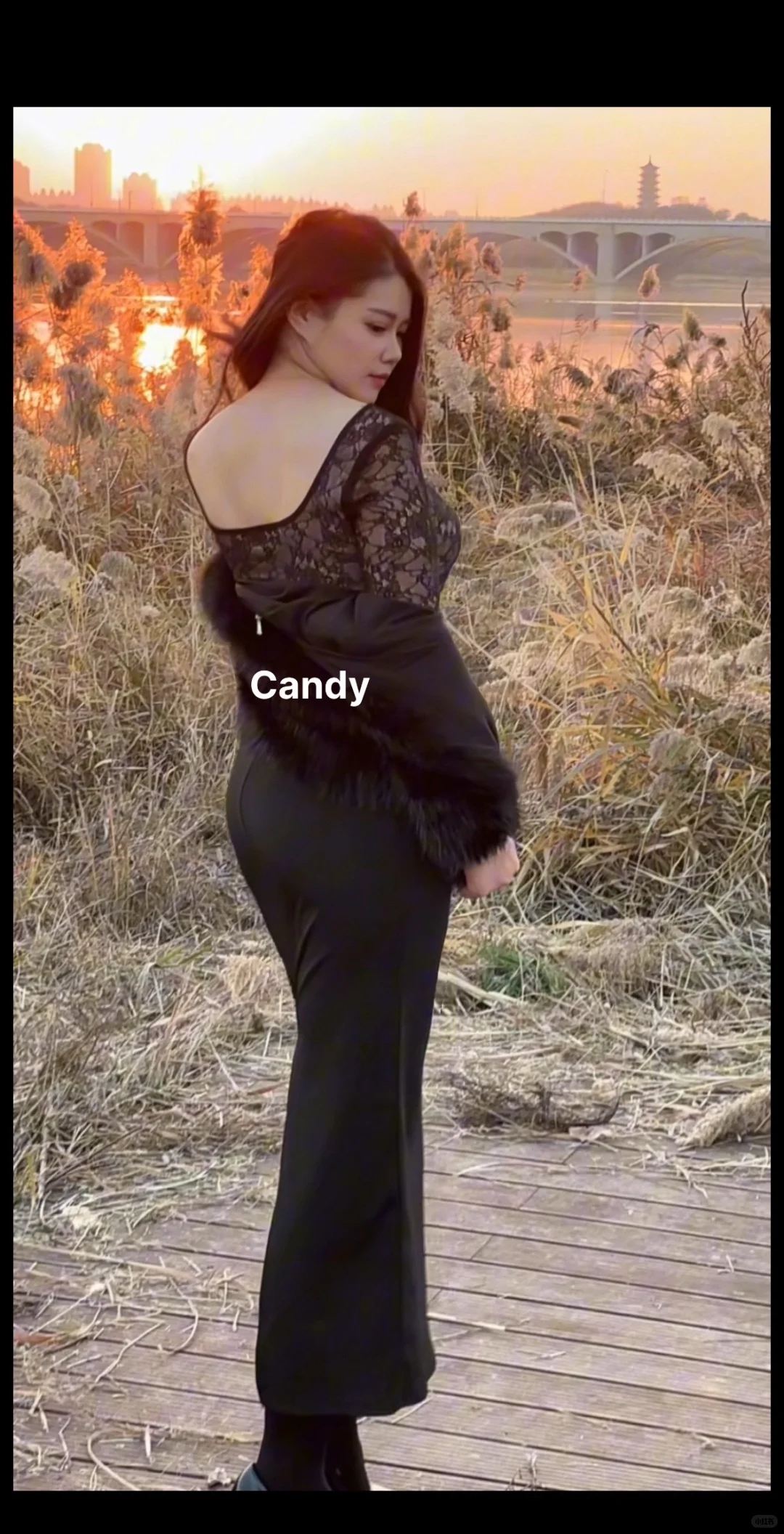 倘若南风知我意