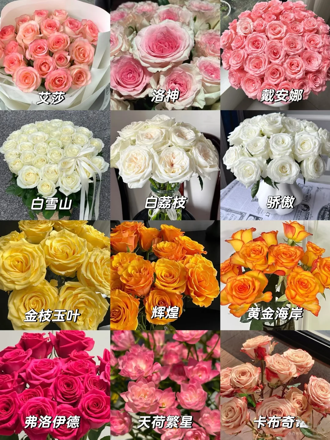 没有女生能拒绝！这几种玫瑰美到心尖发颤！