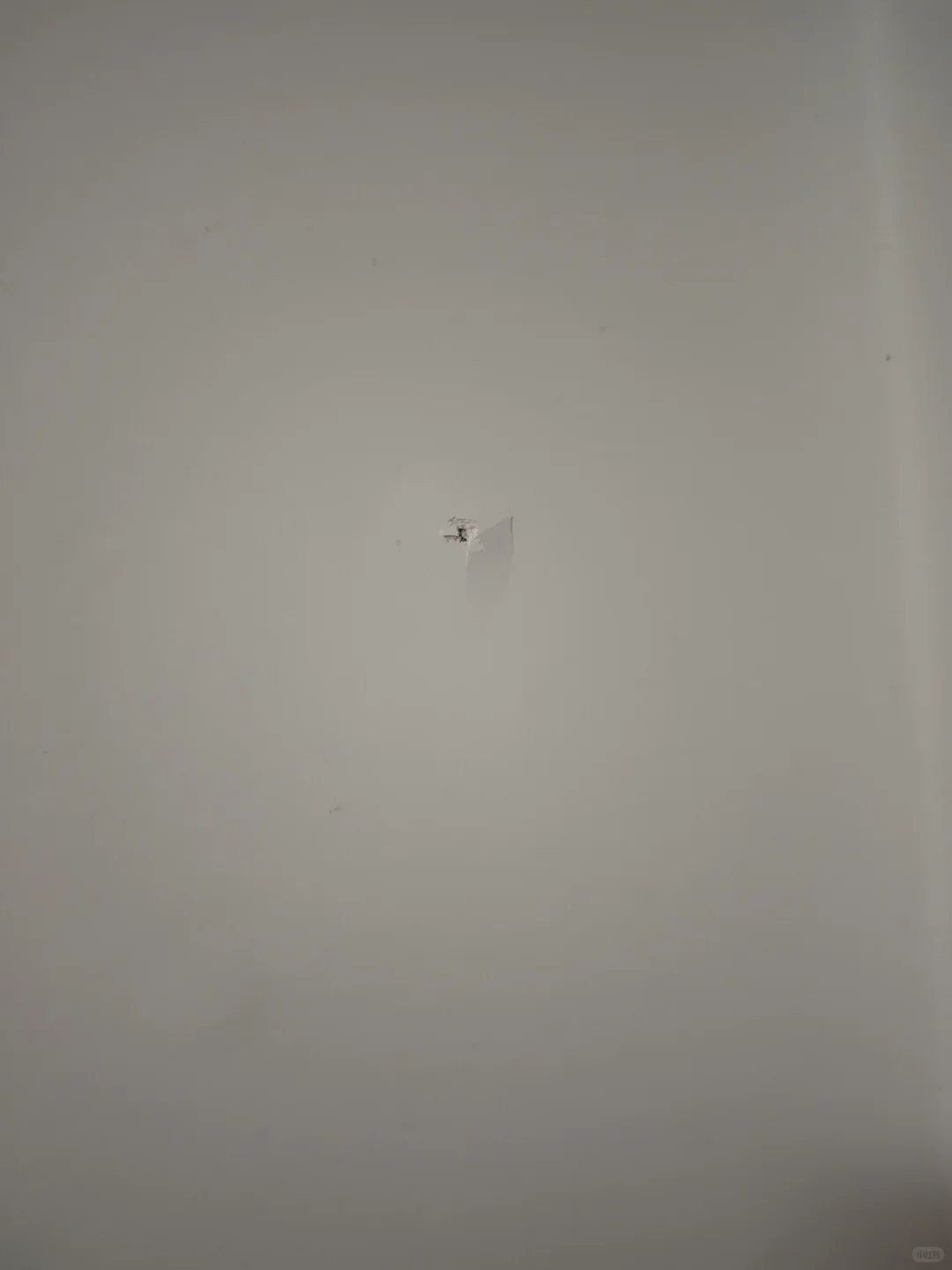 这是墙里长了啥