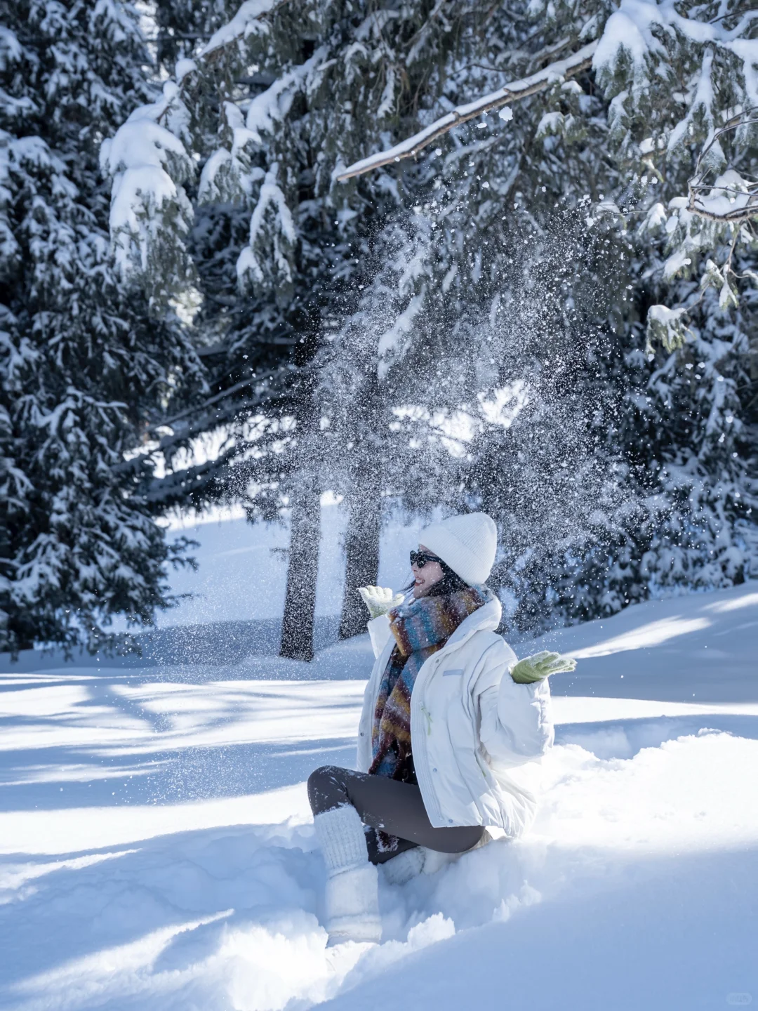 提前预习一些雪地拍照姿势 ❄️好有生命力！