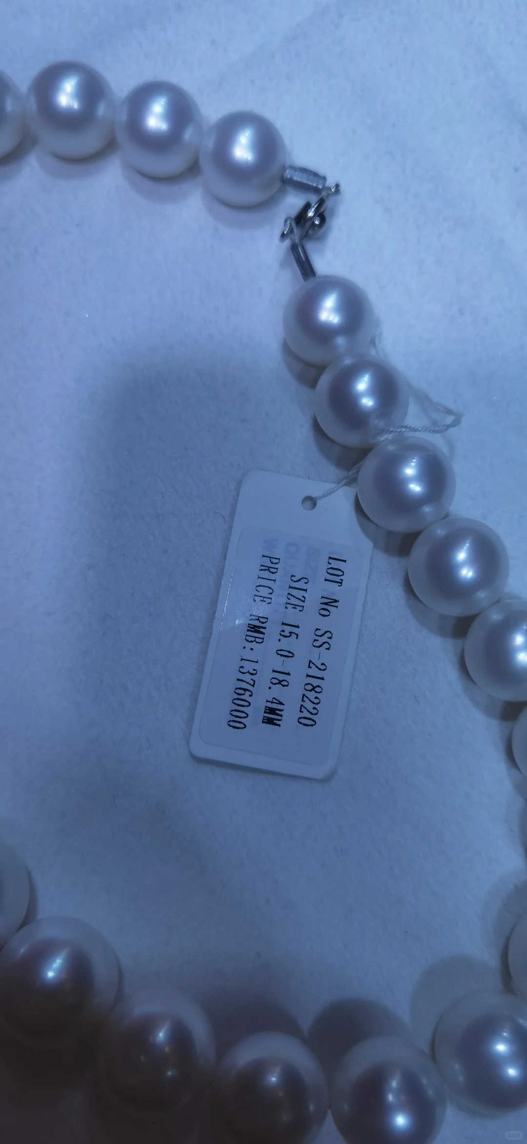 澳白，维纳斯？