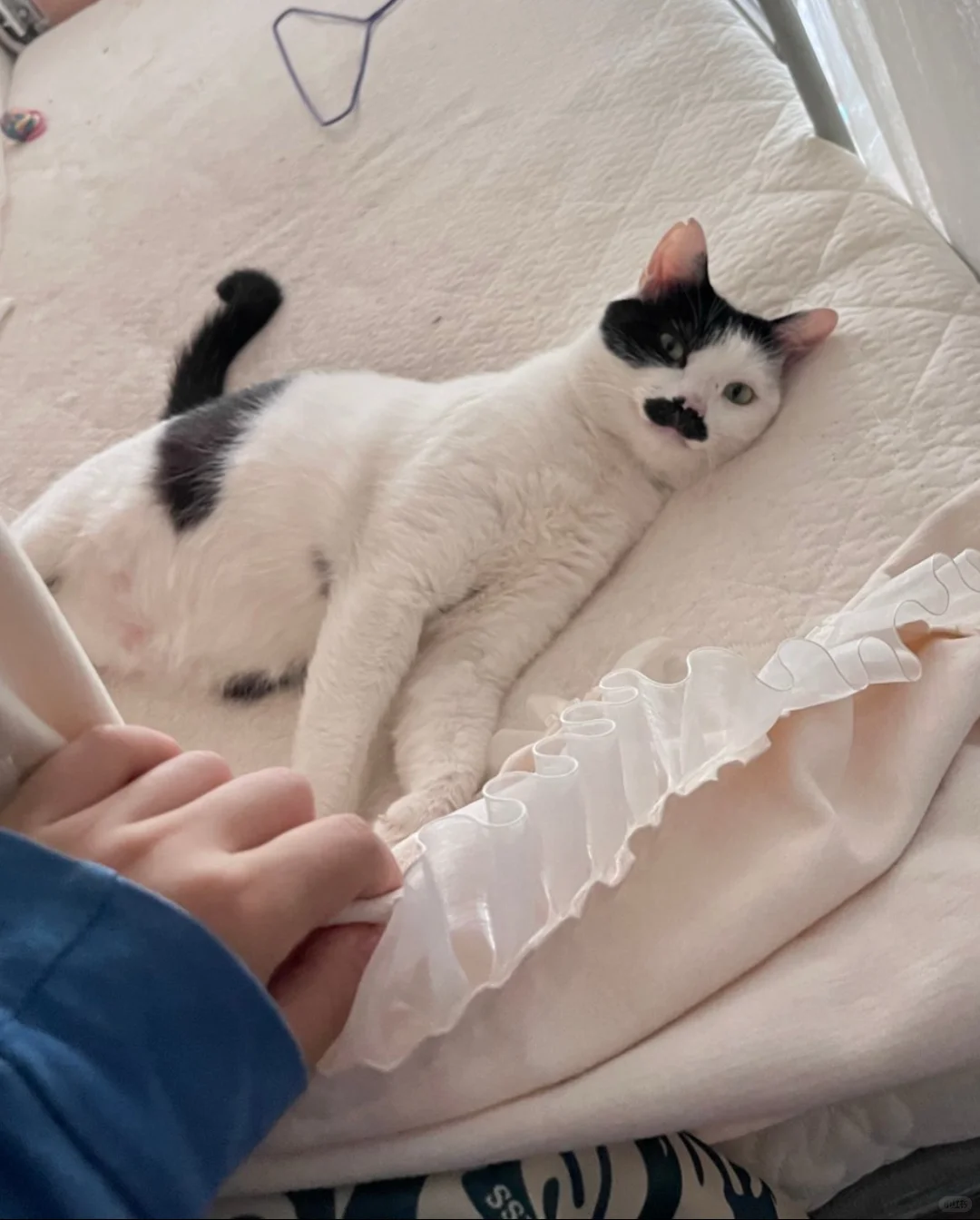 男明星私房照公开