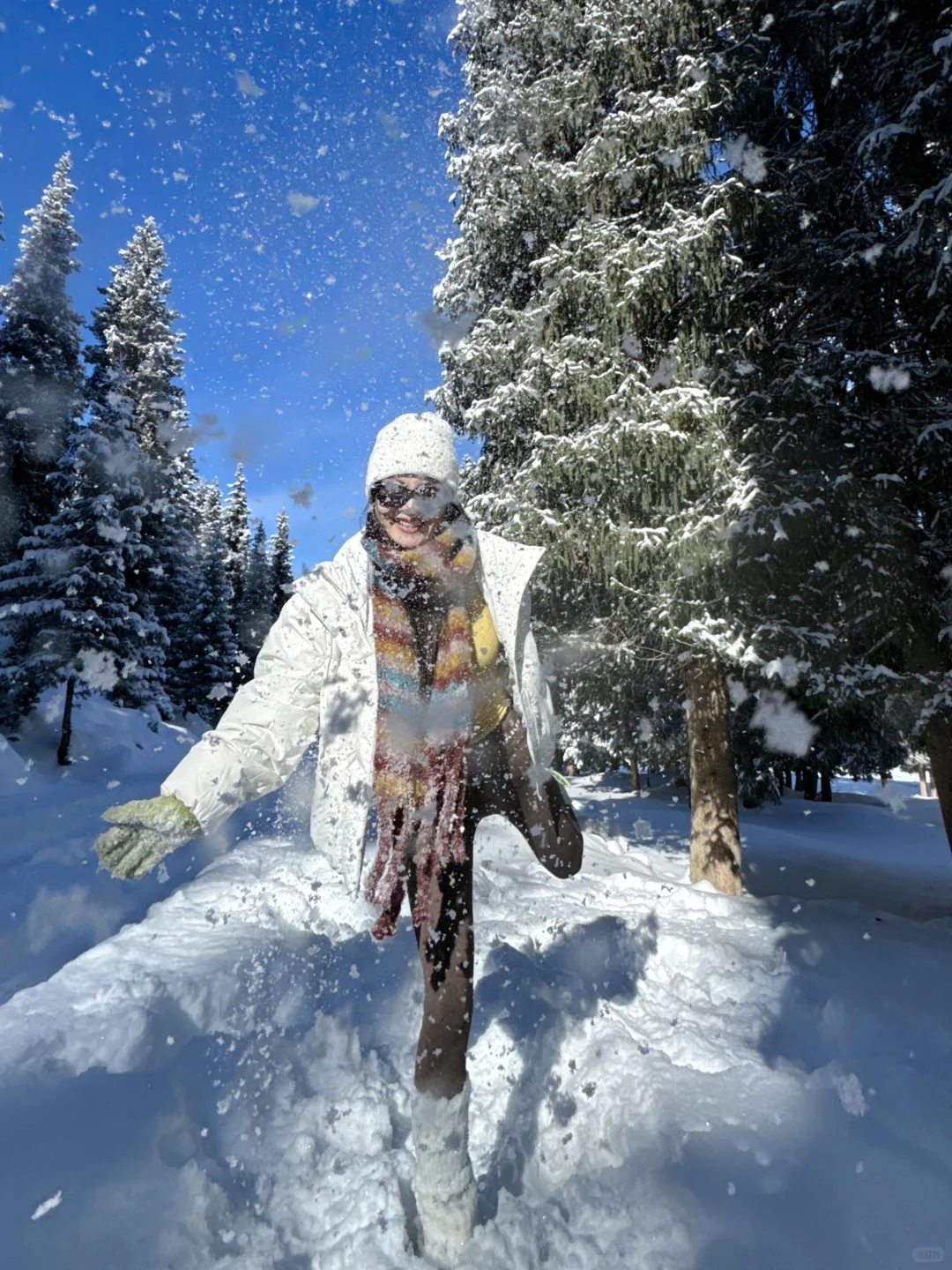 提前预习一些雪地拍照姿势 ❄️好有生命力！