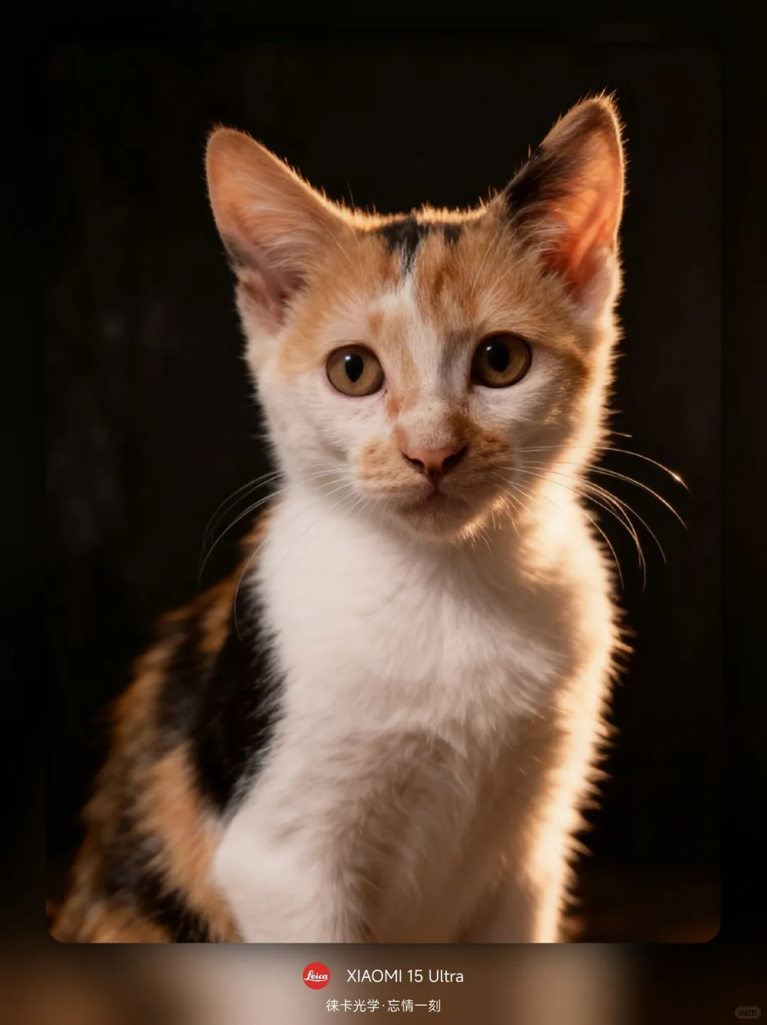 小米预设包成片分享📸