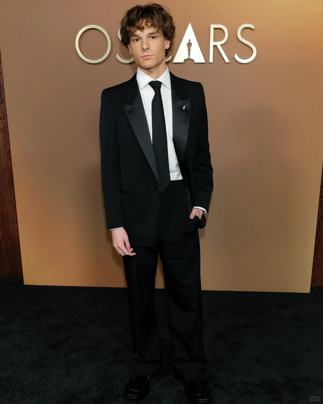 洲长奖红毯上的老牌绅士和好莱坞新生代少年