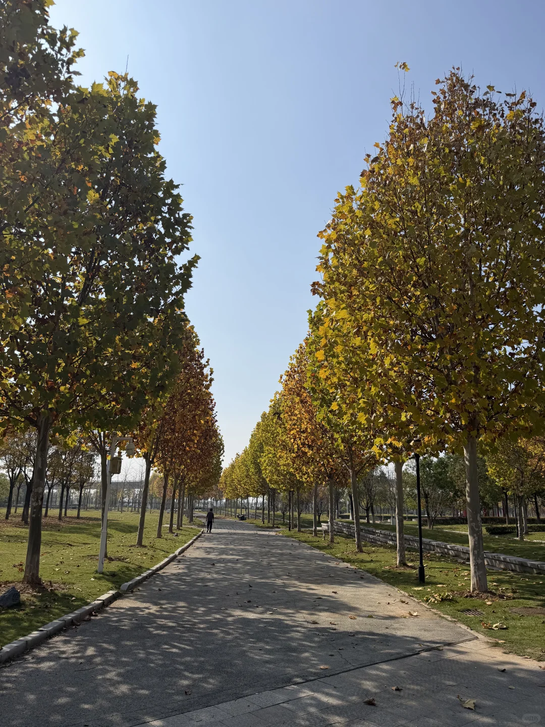 人在秋天🍂会自动变成慢动作