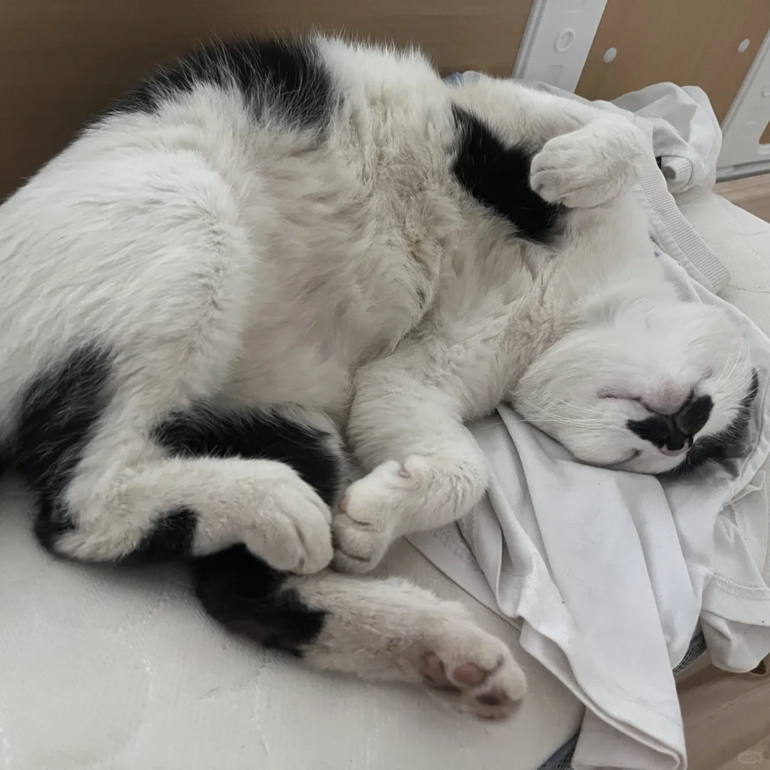 男明星私房照公开