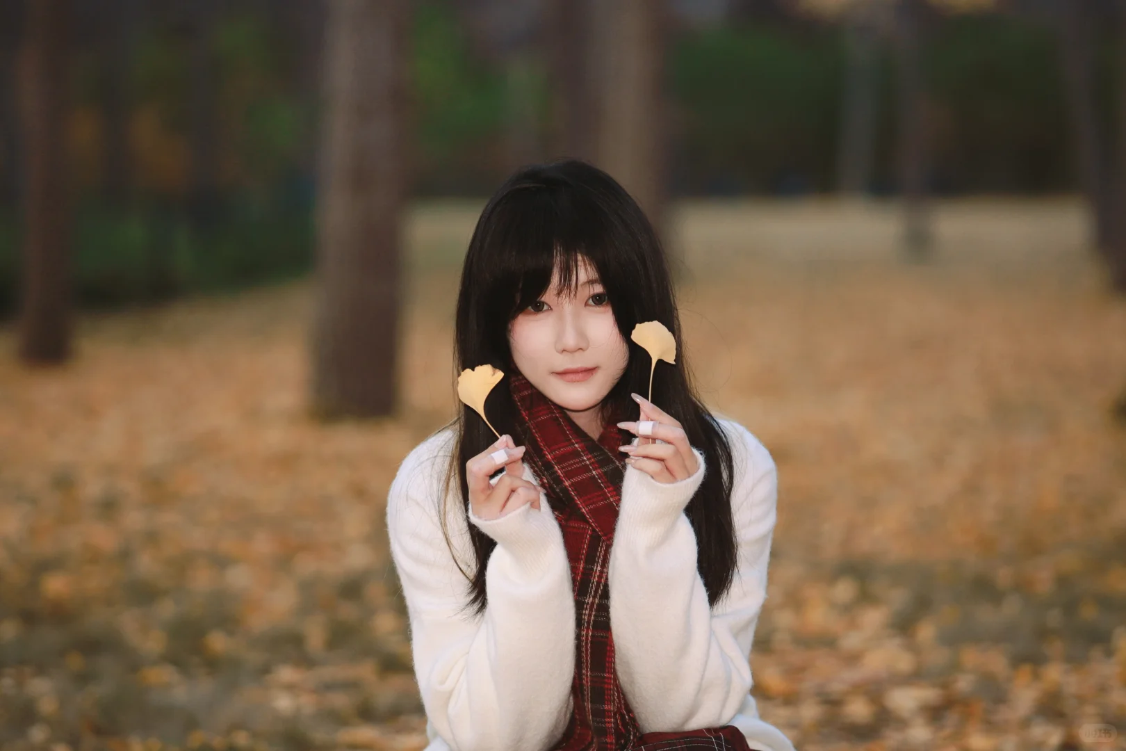 《秋》最后一章