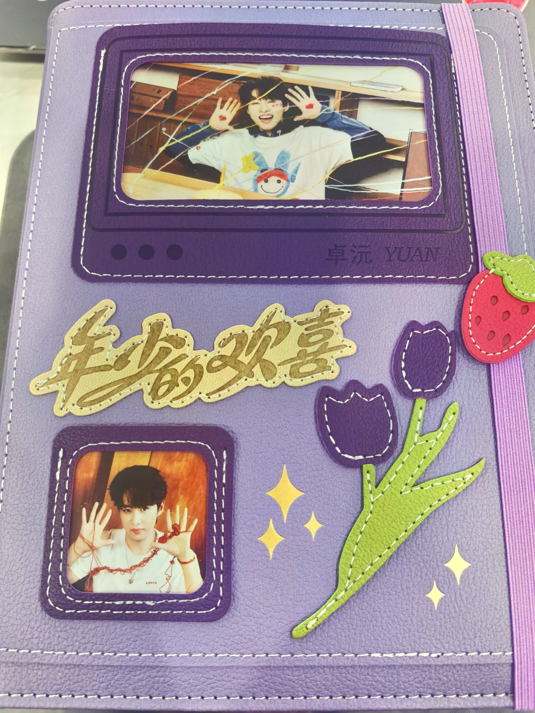 《年少的欢喜》