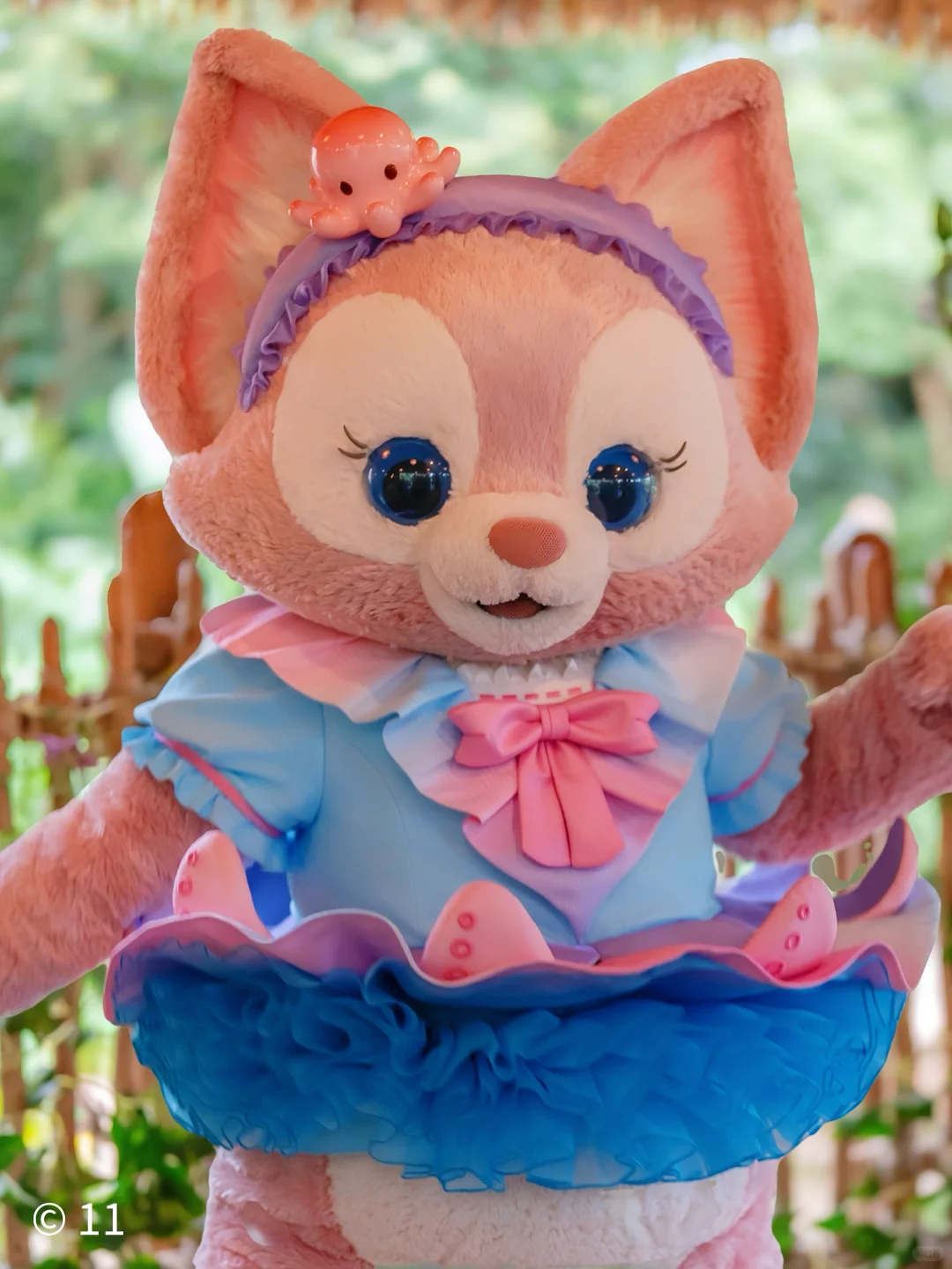 本狐是最性感的🐙🐙