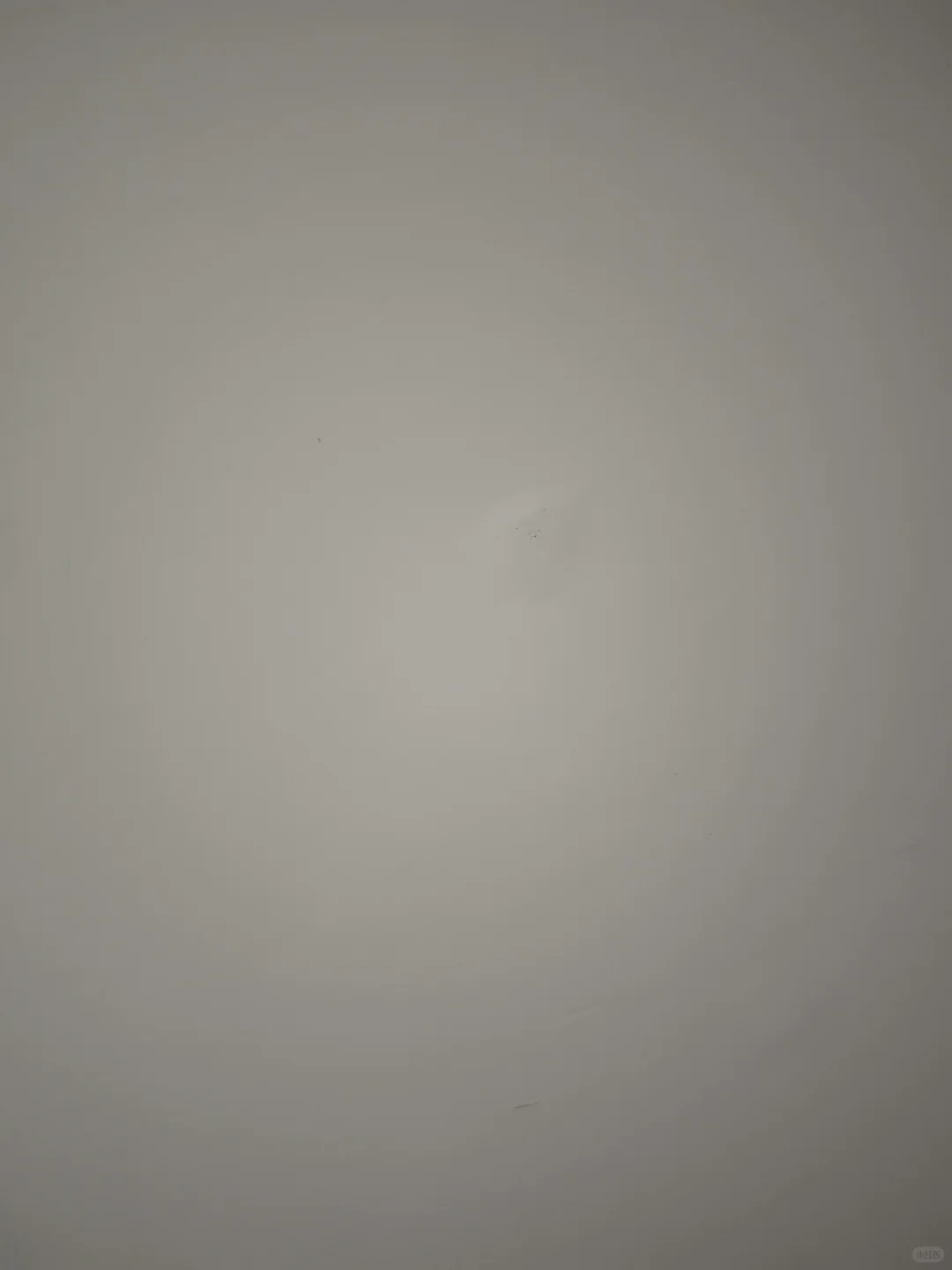 这是墙里长了啥