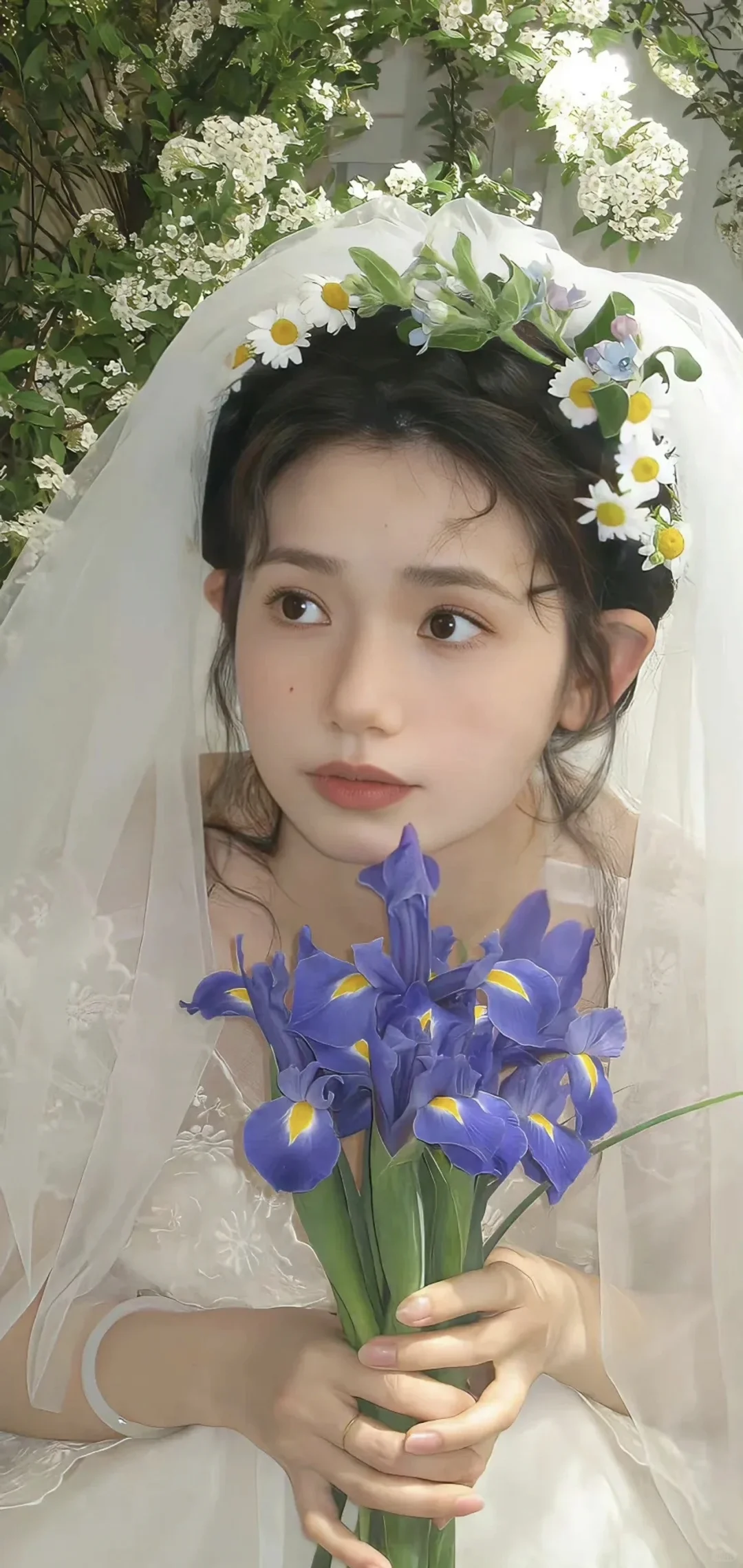 今日高清美女壁纸～🌞