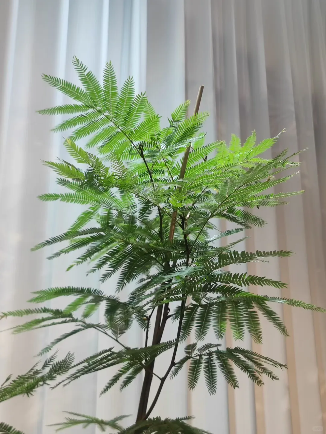 乌海森系大型花店、乌海汇林花卉园艺中心