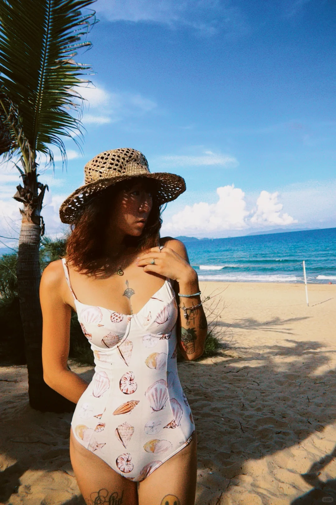 🌊海风🐚贝壳和晒不腻的☀️阳光