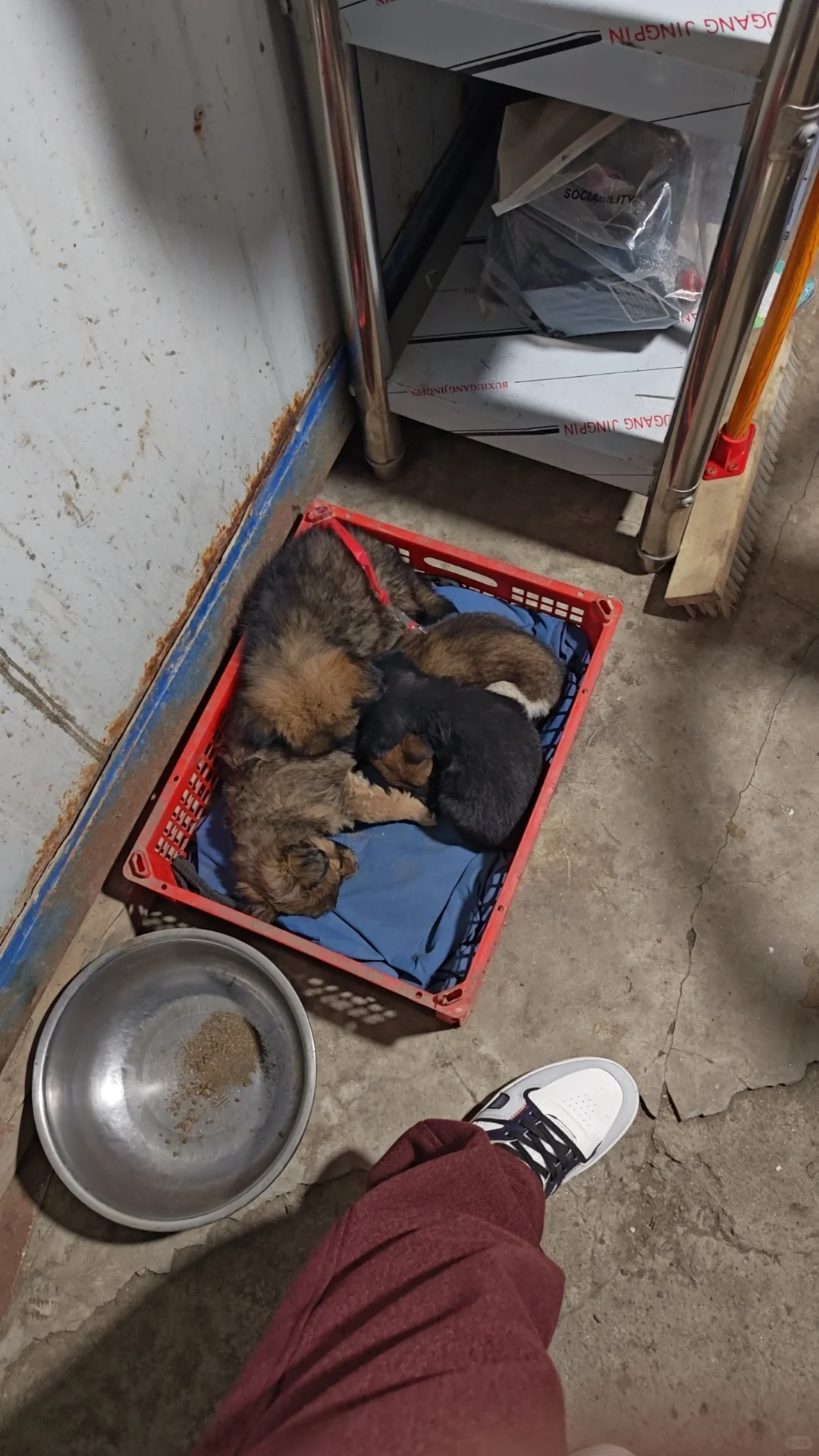 坐标河南，自有铁精粉选厂，没有中间商。