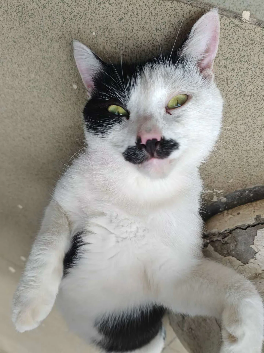 男明星私房照公开