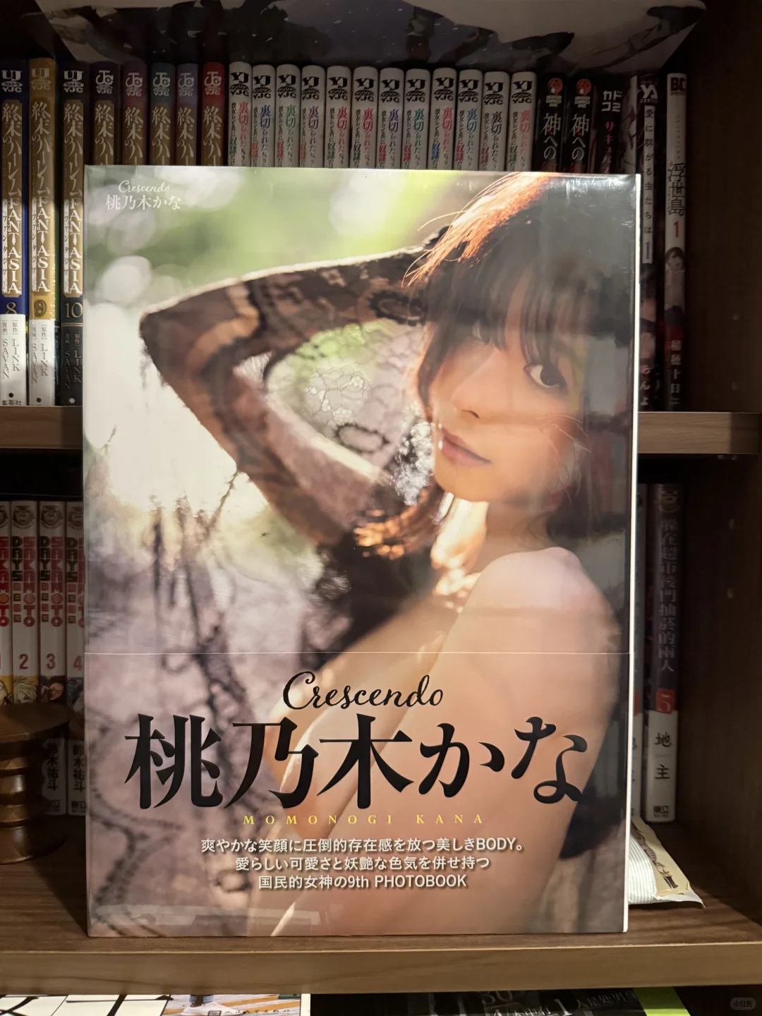 桃乃木香奈的引退写真集