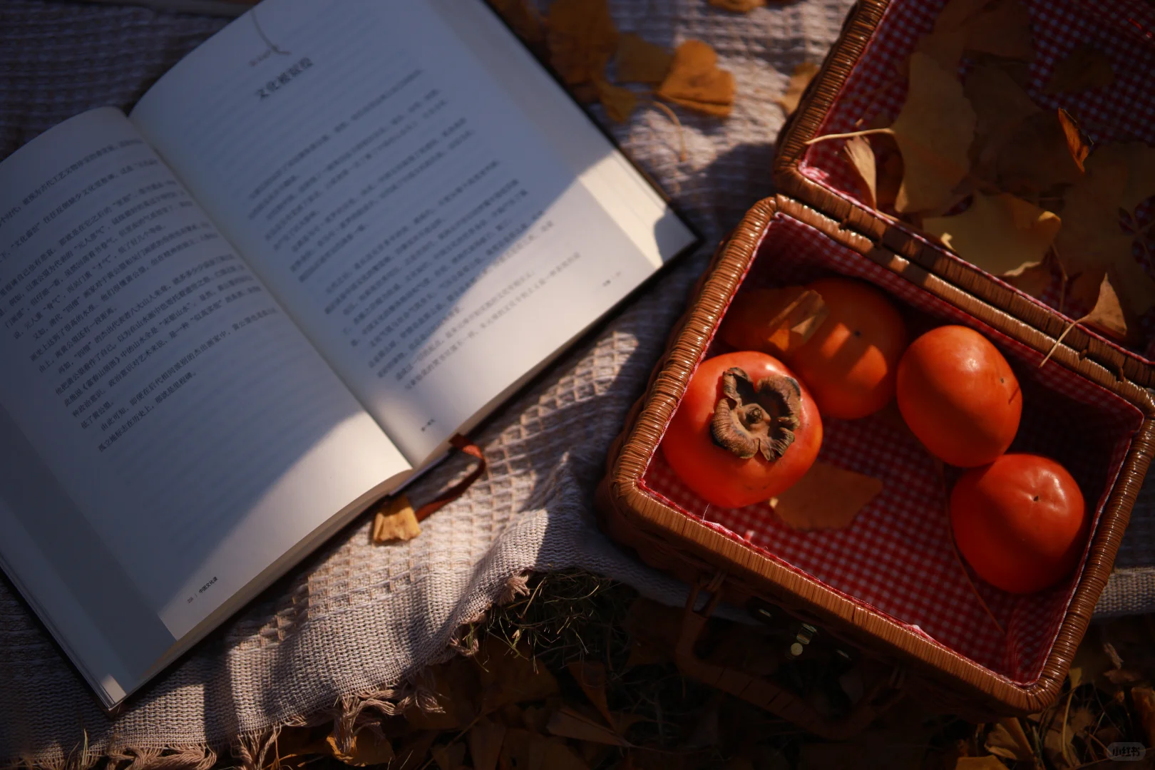 《秋》最后一章