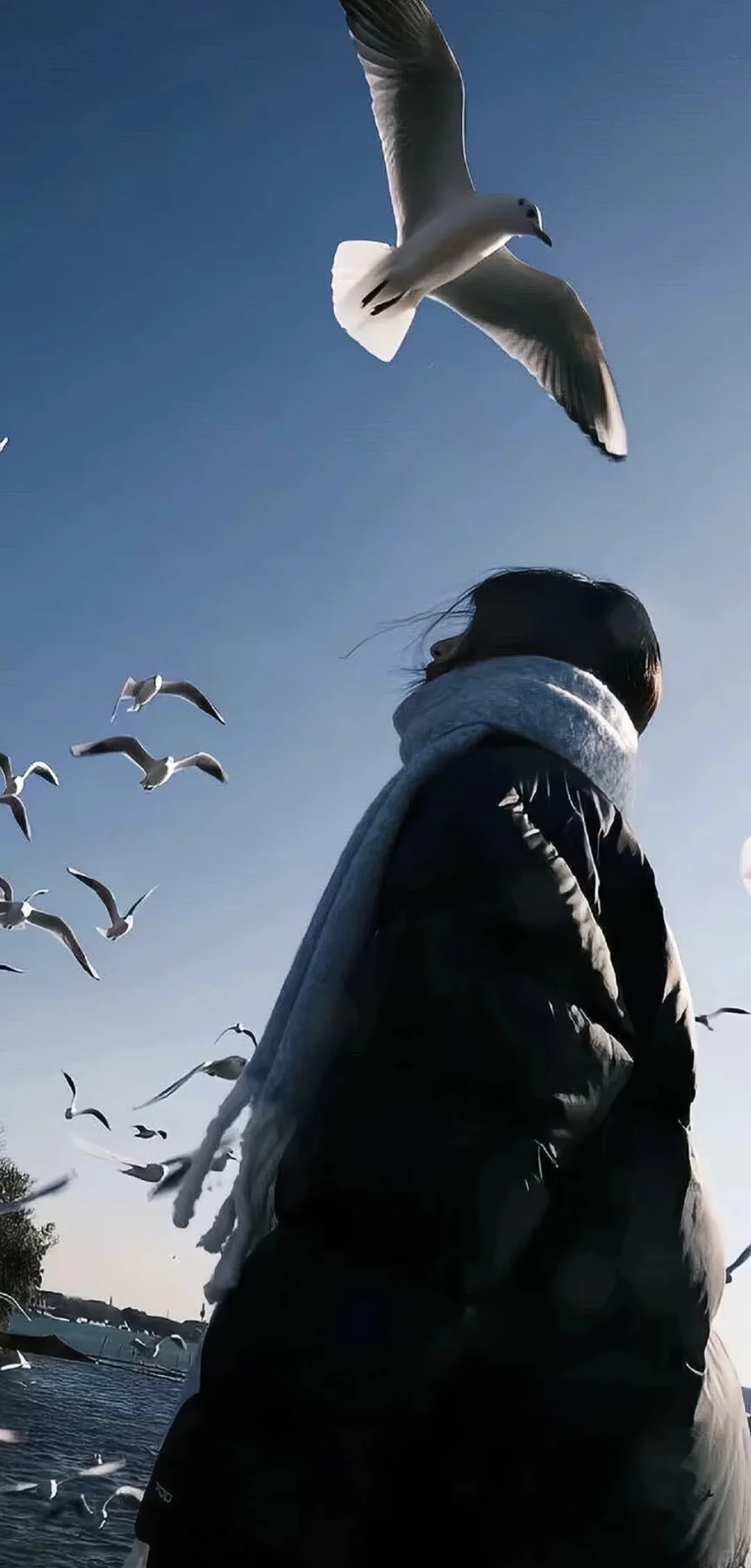 手机没电也要换的手机壁纸🌞