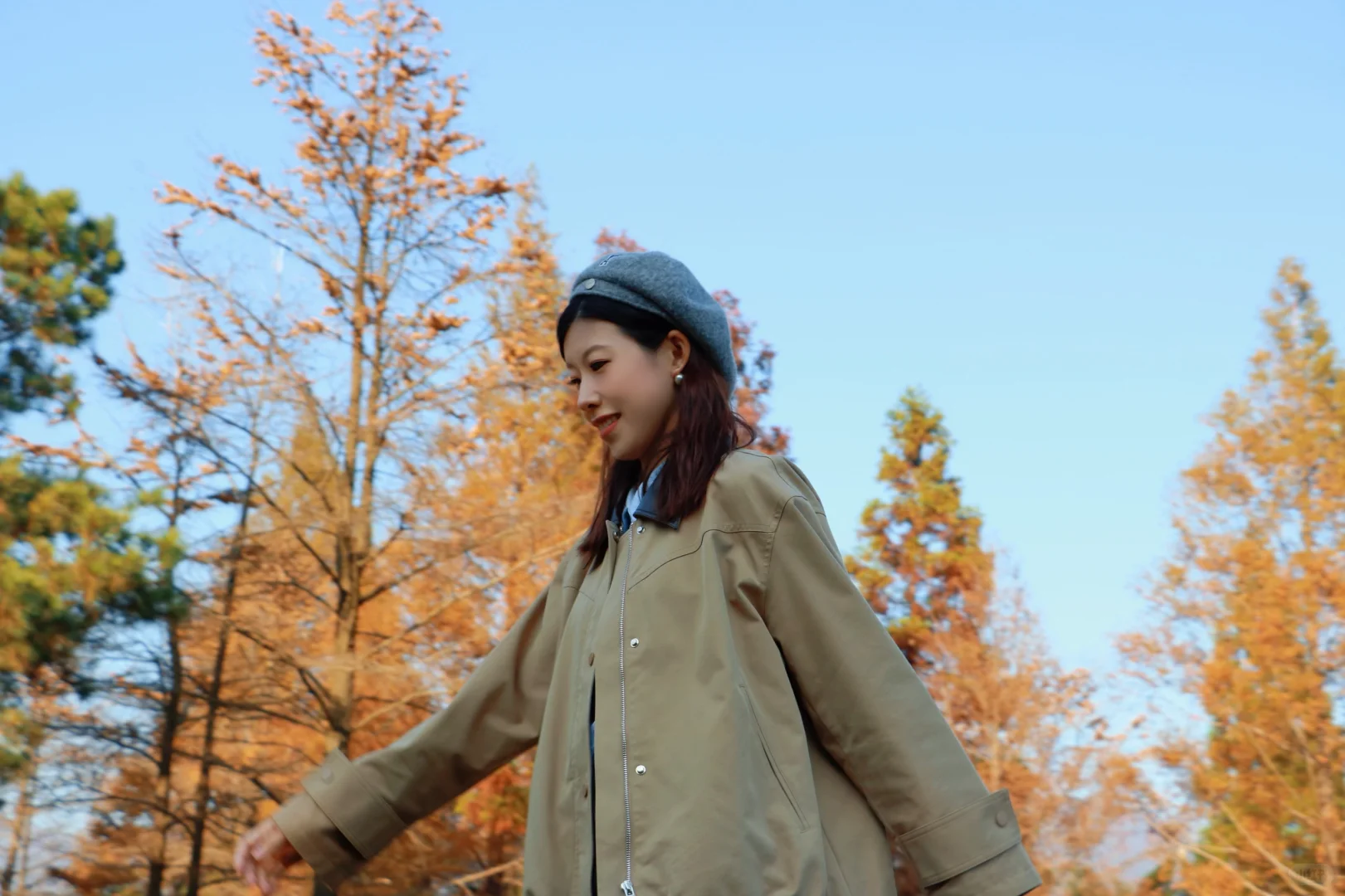 又被骗去了🙂‍↔️11月15日惨状