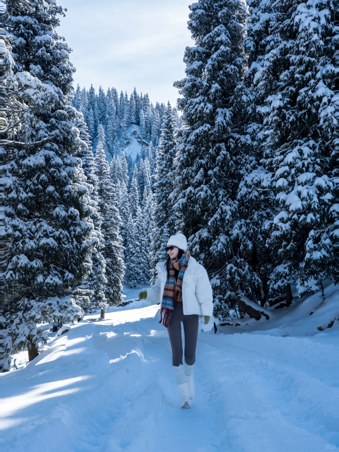 提前预习一些雪地拍照姿势 ❄️好有生命力！