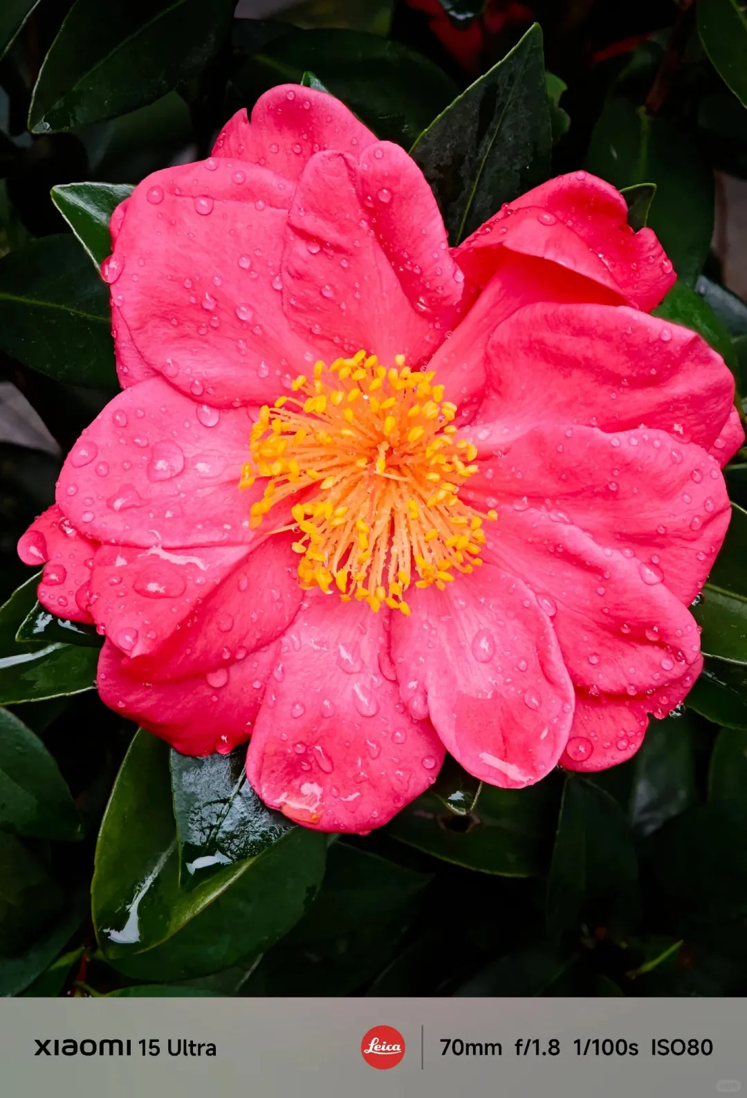 小米预设包成片分享📸