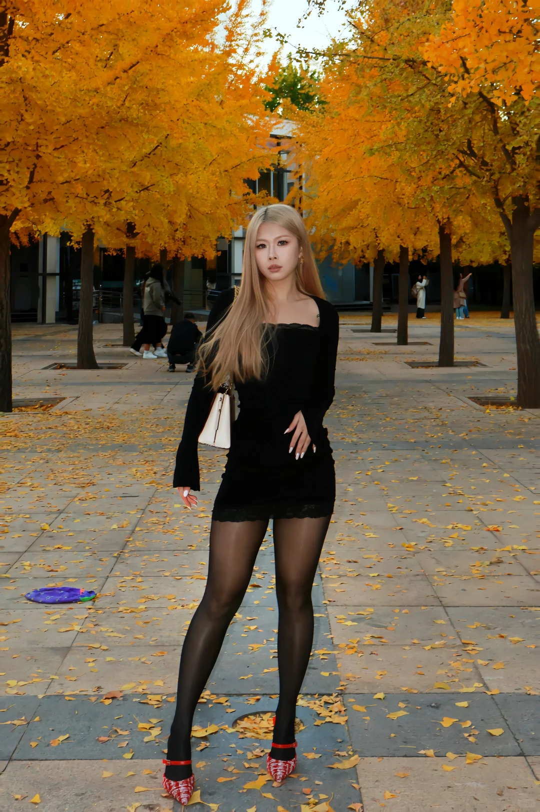 北京的秋天是金色的