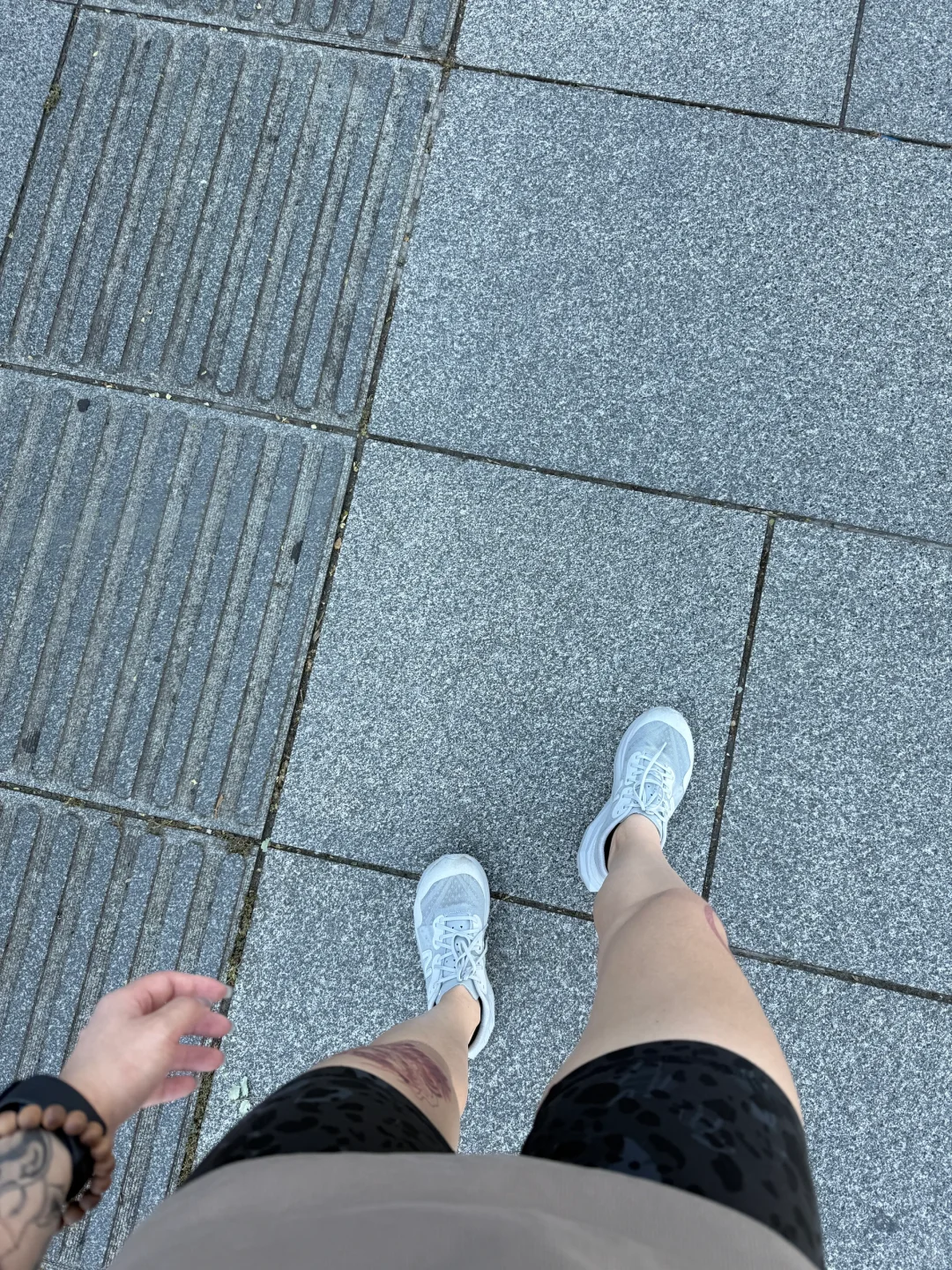 森森，你腿很粗