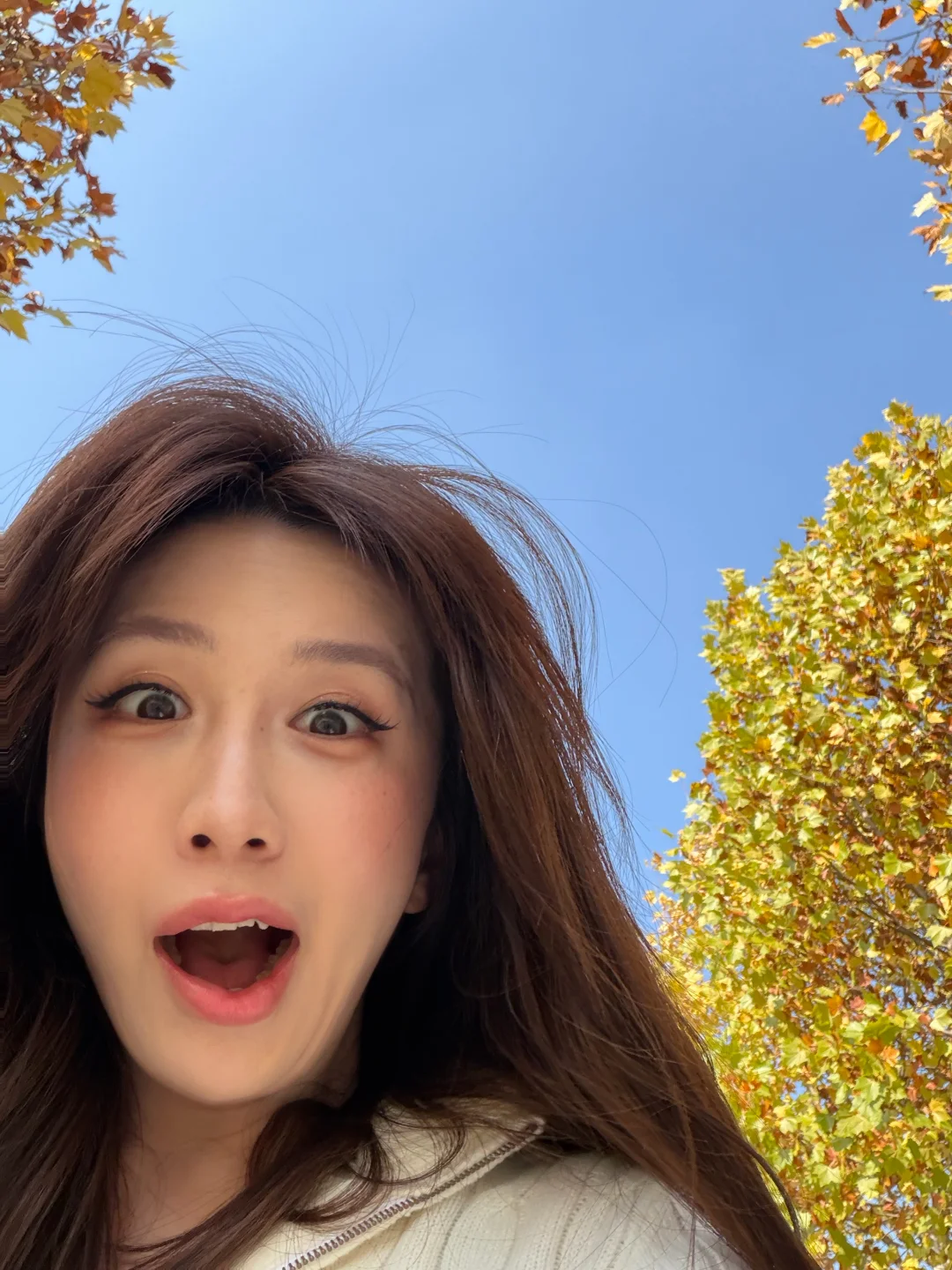 人在秋天🍂会自动变成慢动作