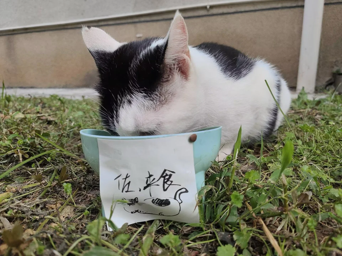 男明星私房照公开