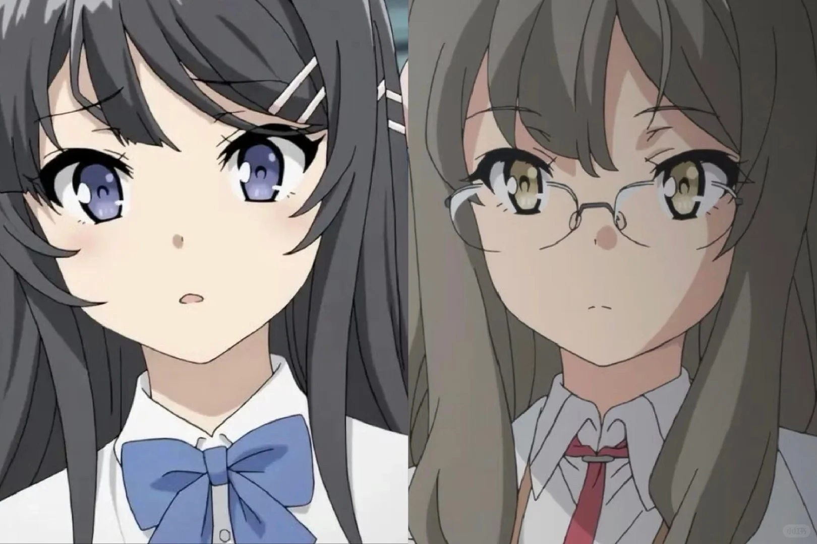 你们喜欢哪组学姐学妹？