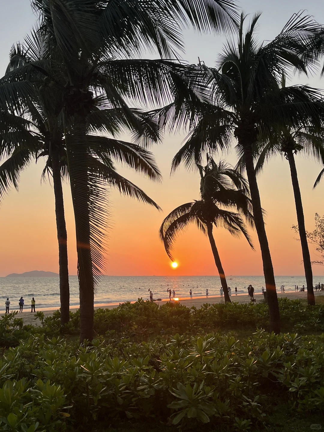 ootd之波嬉野人风在海边👣