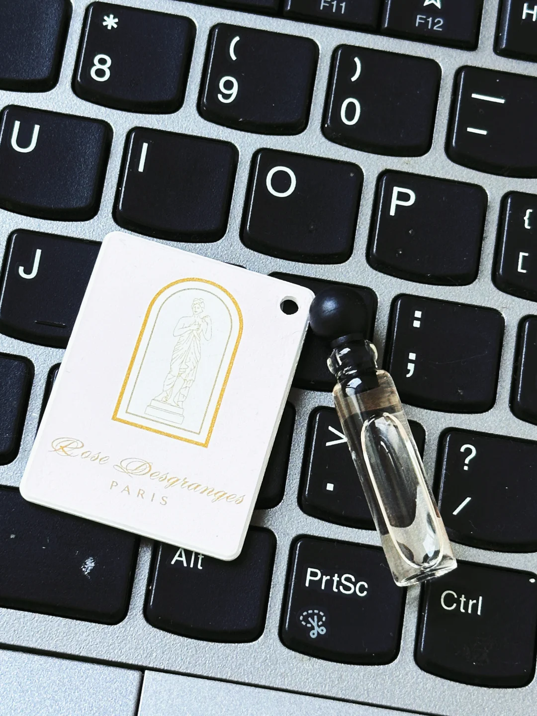 雪地里的玫瑰🥀人间富贵花的玫瑰香