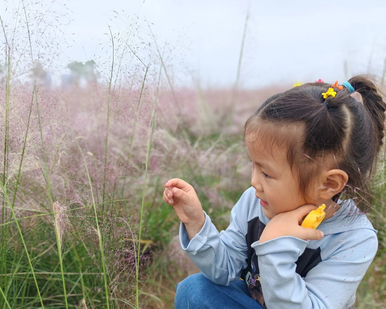 生活中的小确幸|雨后的粉黛娇艳欲滴