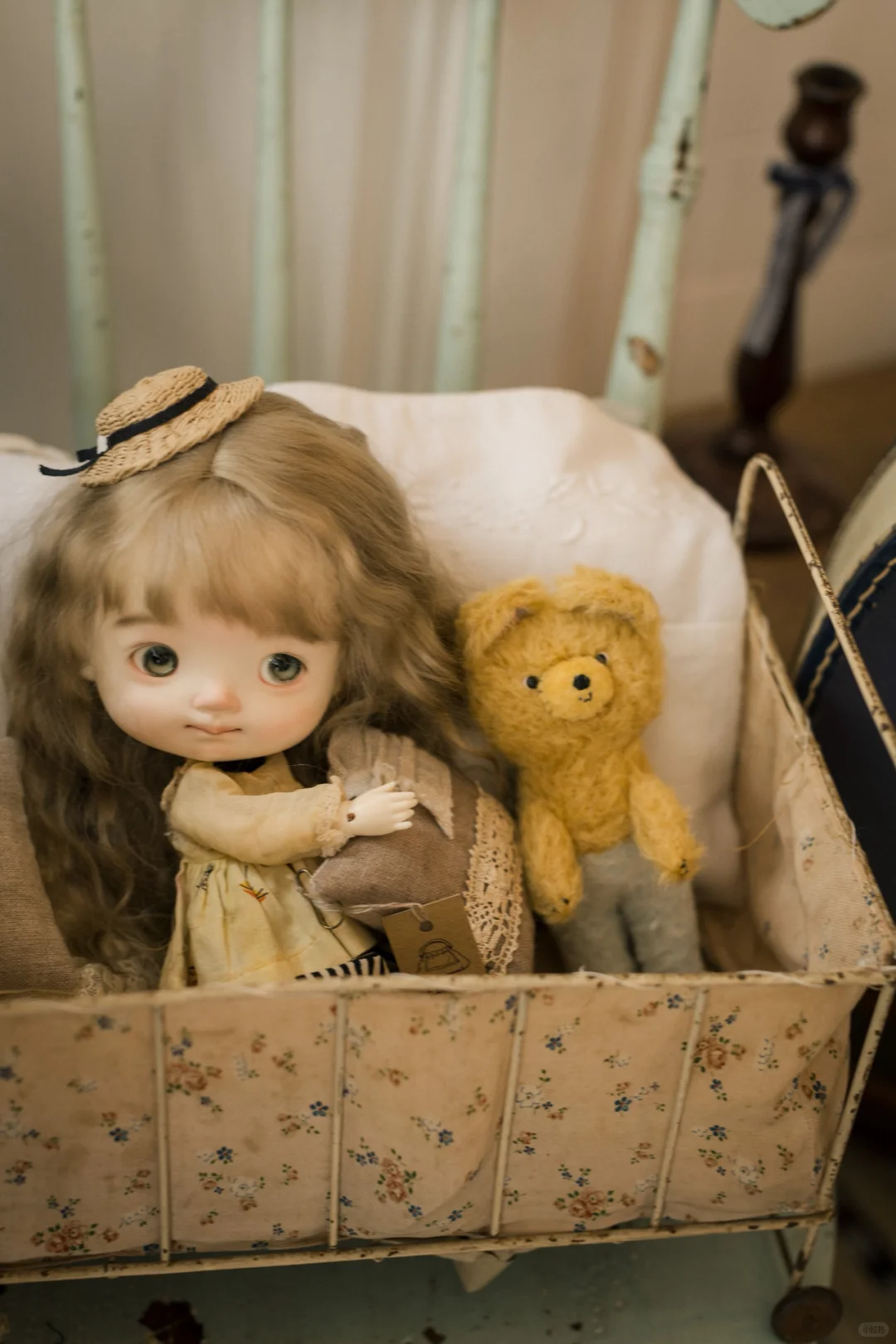 猜猜主包选了哪个🫙