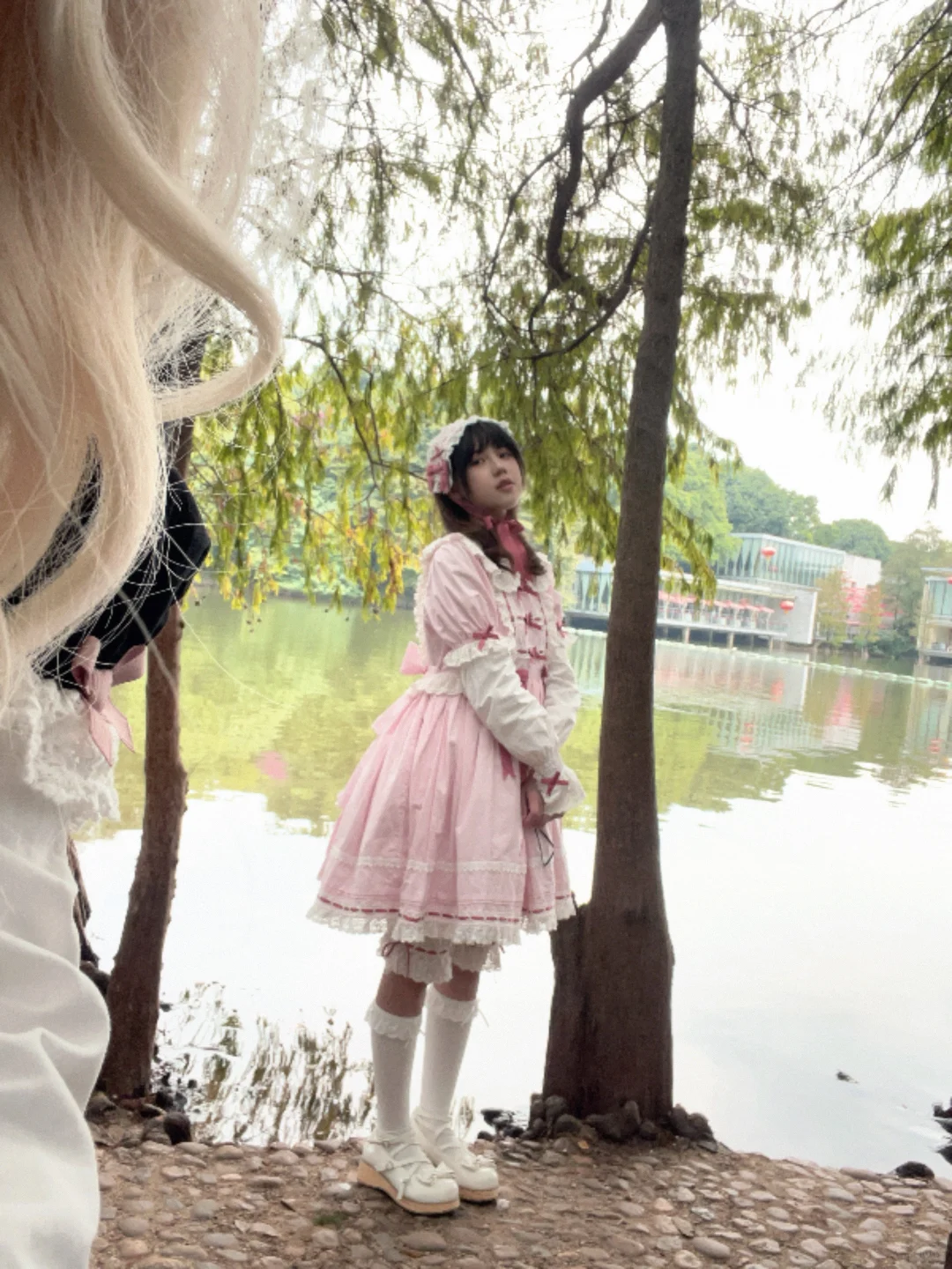 劳拉的玩偶树莓粉