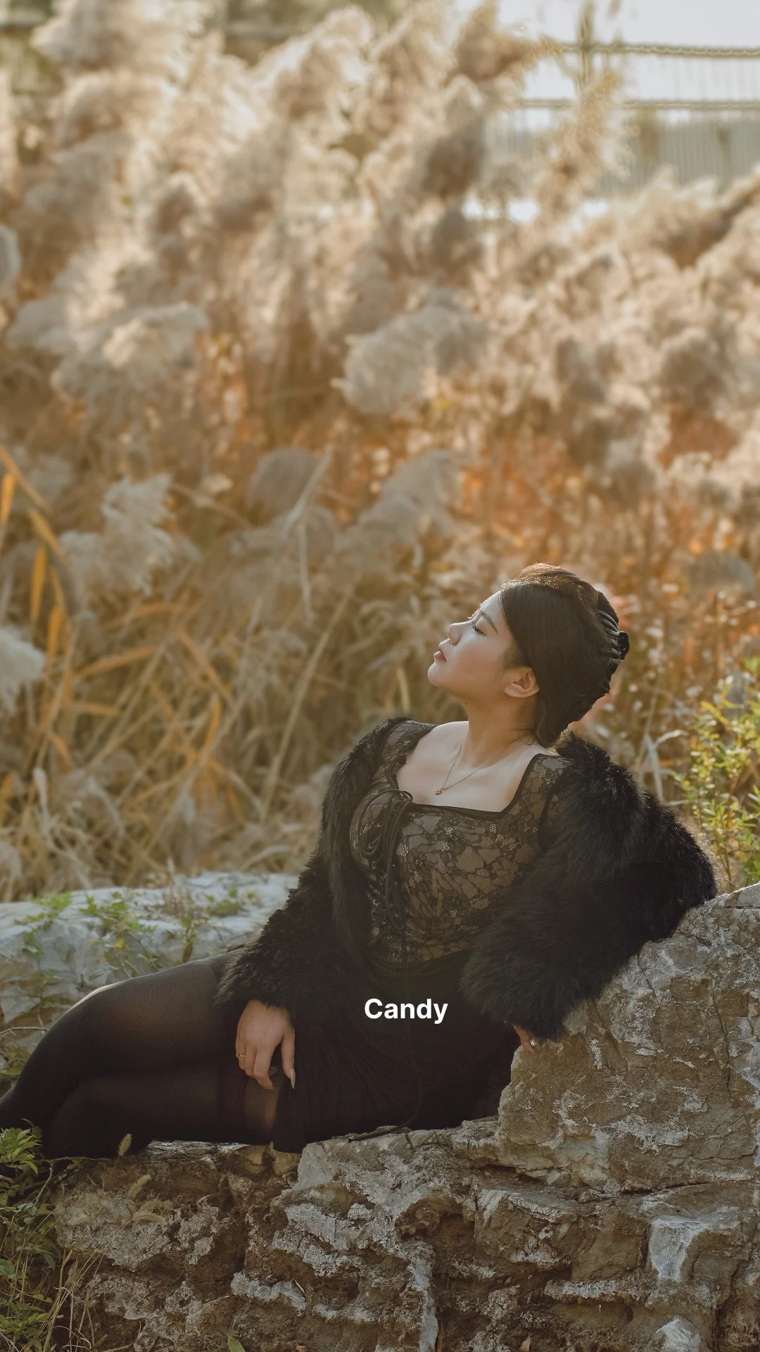 倘若南风知我意