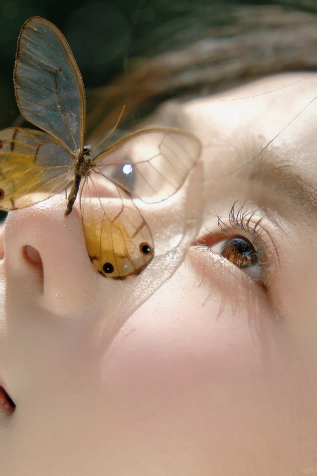 这算不算神级特写？