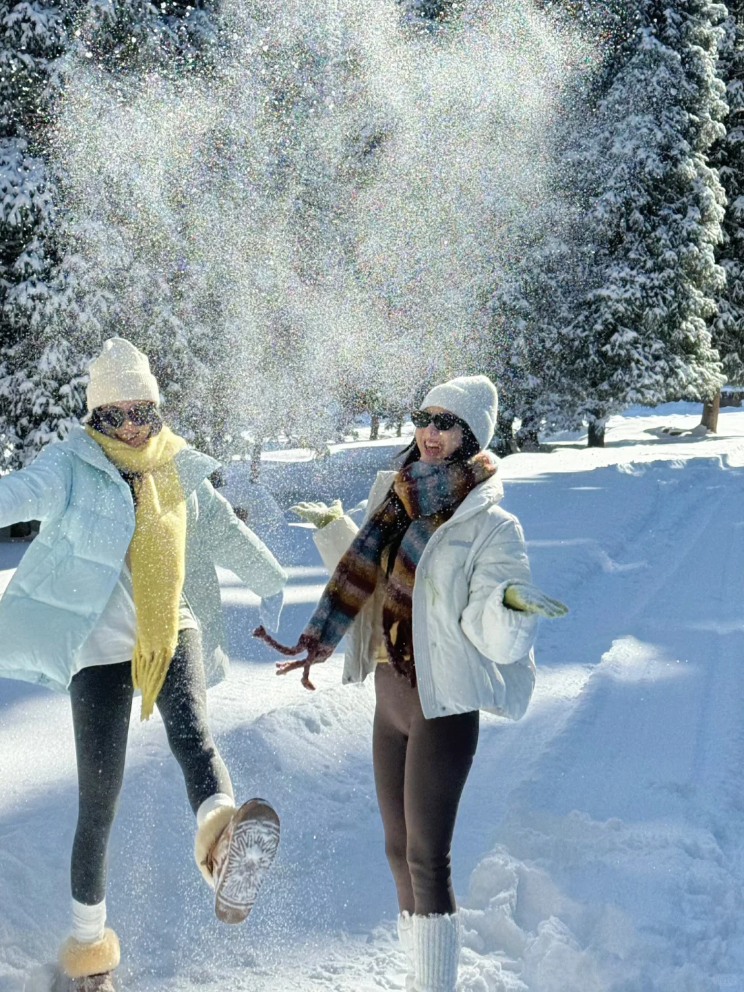 提前预习一些雪地拍照姿势 ❄️好有生命力！