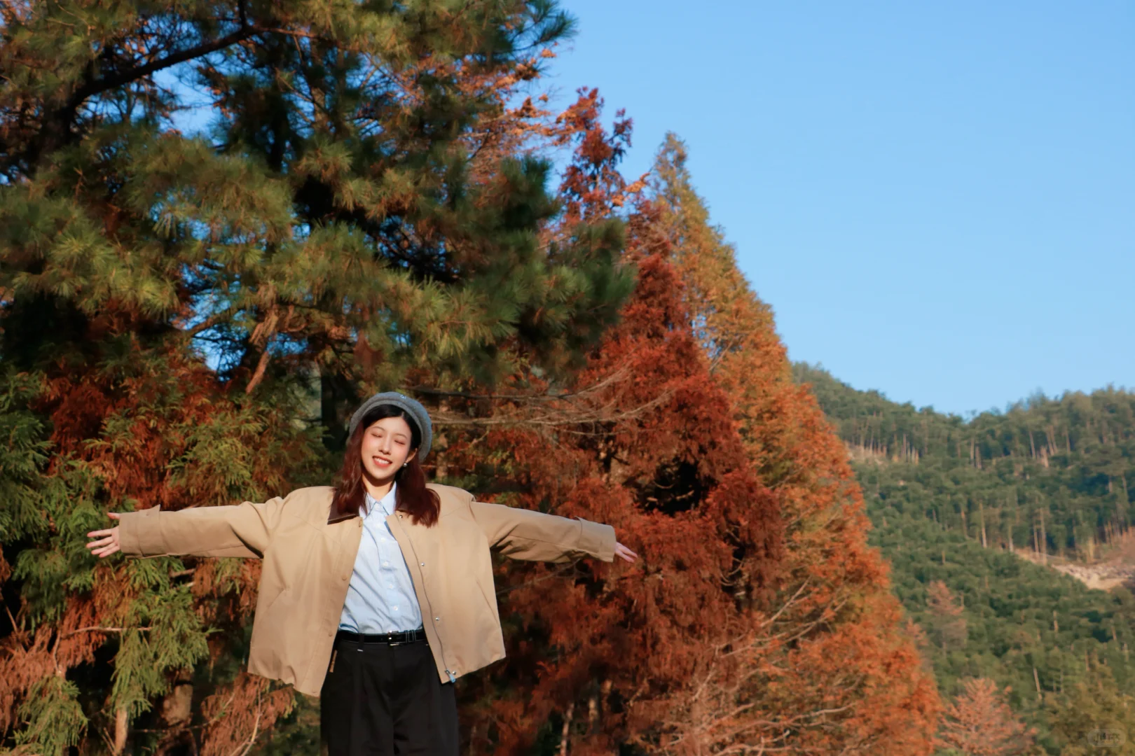 又被骗去了🙂‍↔️11月15日惨状